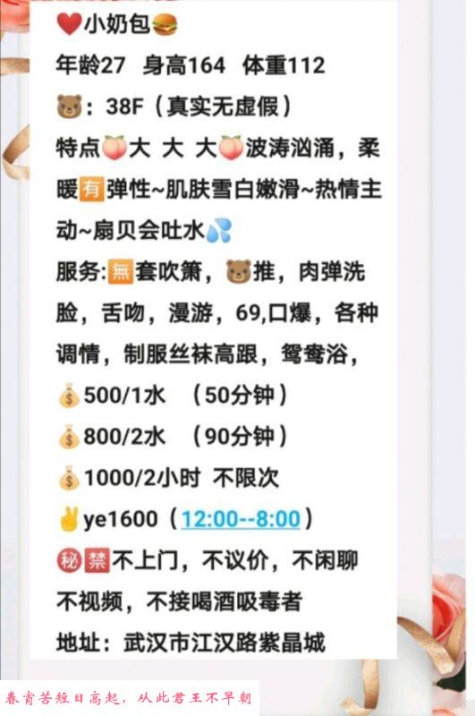 江汉路大胸坦克 第1张