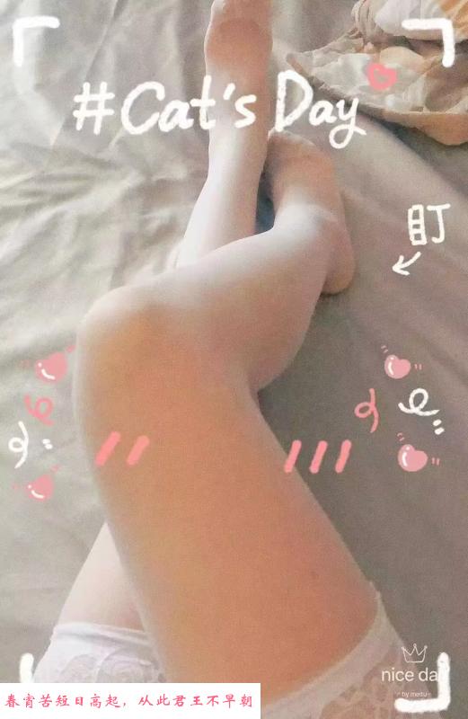 航海东路电动小马达 第3张