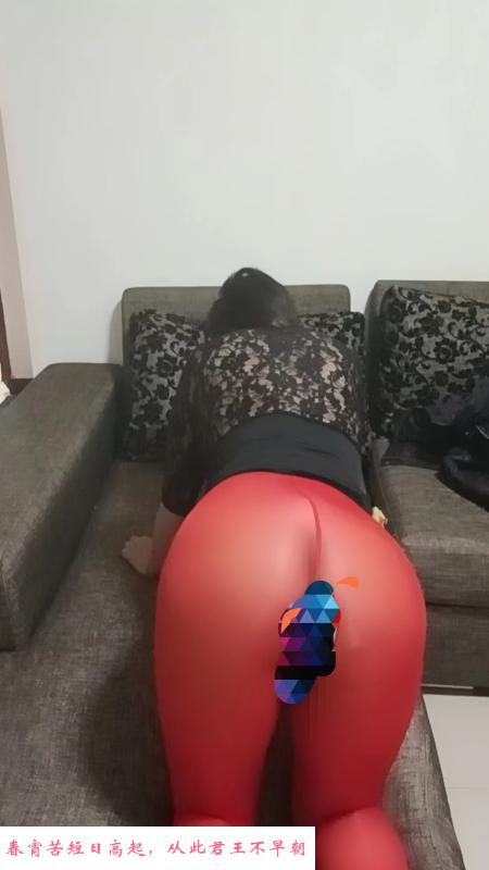 西青D奶楼凤 第1张
