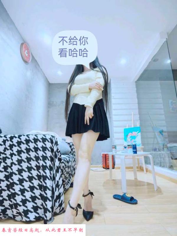 汉口奶兔 第1张