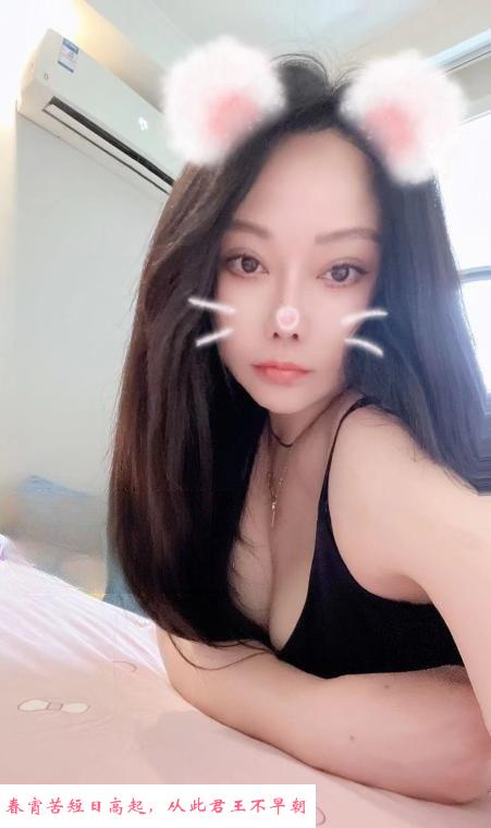 秦淮夏语 第2张