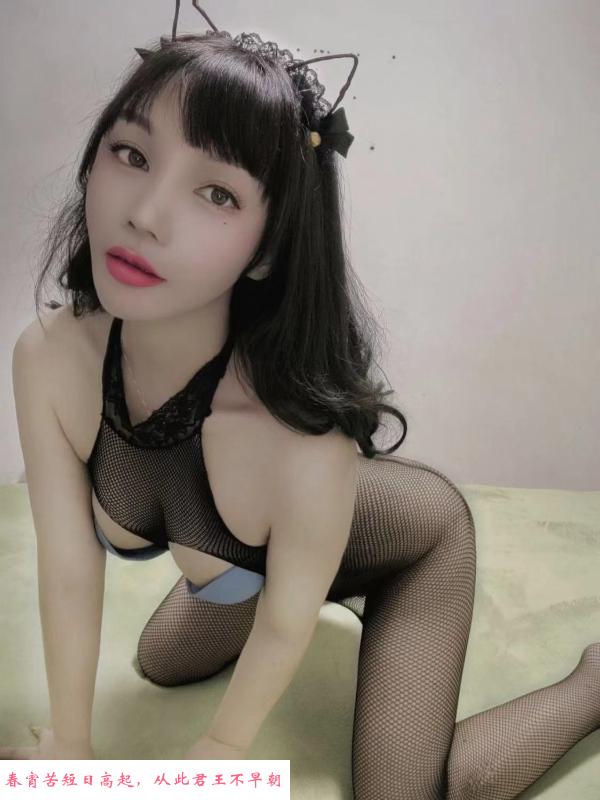 海珠翘臀骚月亮 第1张