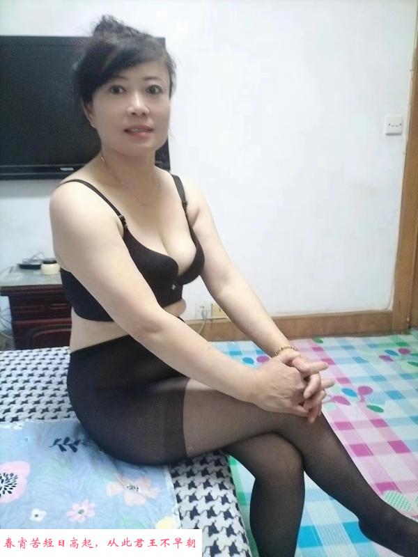 铁西骚熟女 第1张