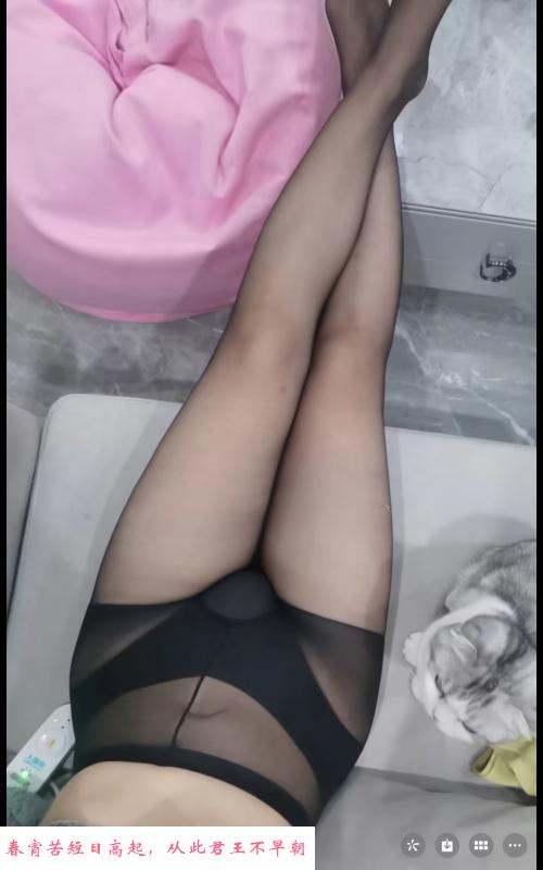 合肥小微 第3张