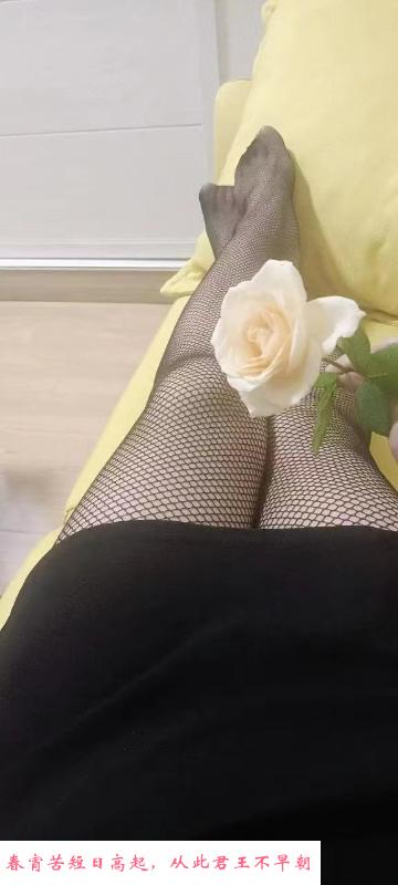 嘉兴市服务系姐姐 第1张