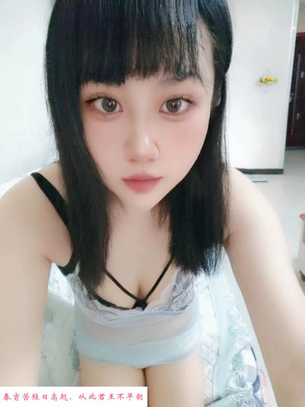 雁塔区纯欲小灵 第1张