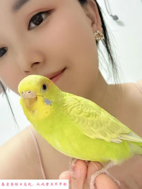 只做半套的小美女 第1张