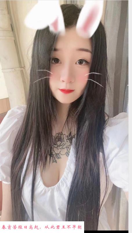 徐东甜妹浣熊 第1张