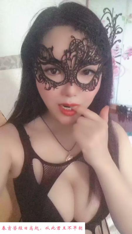 姑苏区西环粉玫瑰 第1张