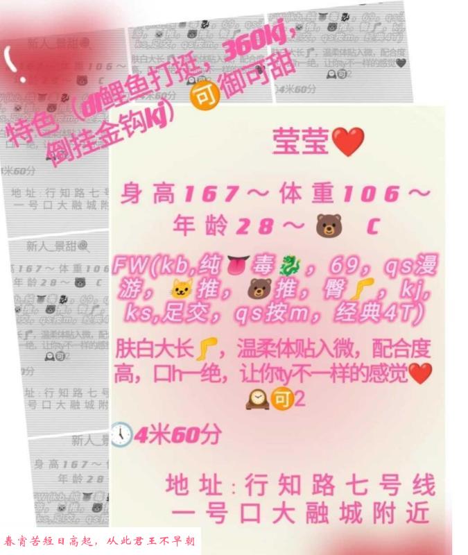 行知路莹莹 第4张