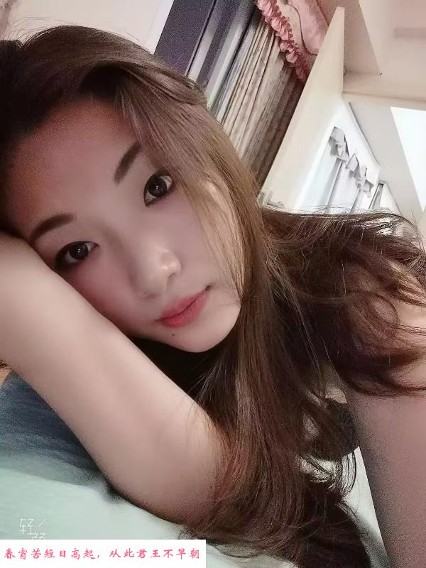 中南天紫小万茜 第1张
