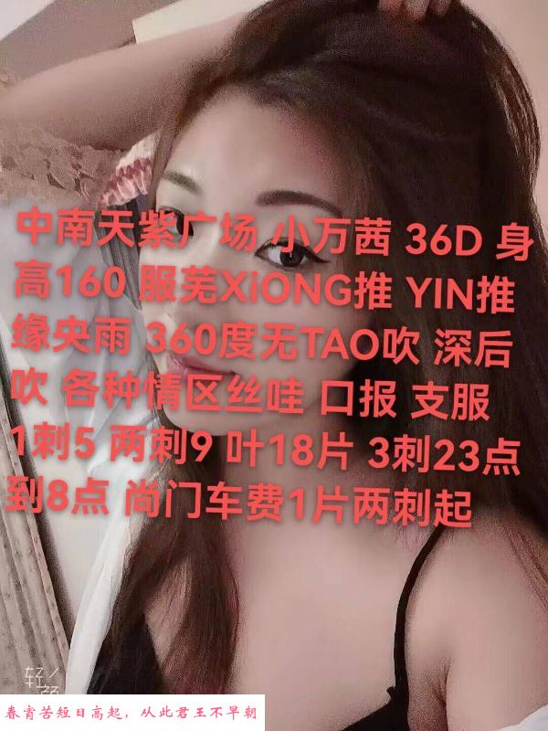 中南天紫小万茜 第3张