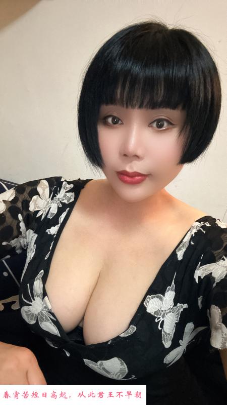明治大胸少妇雨桐 第1张