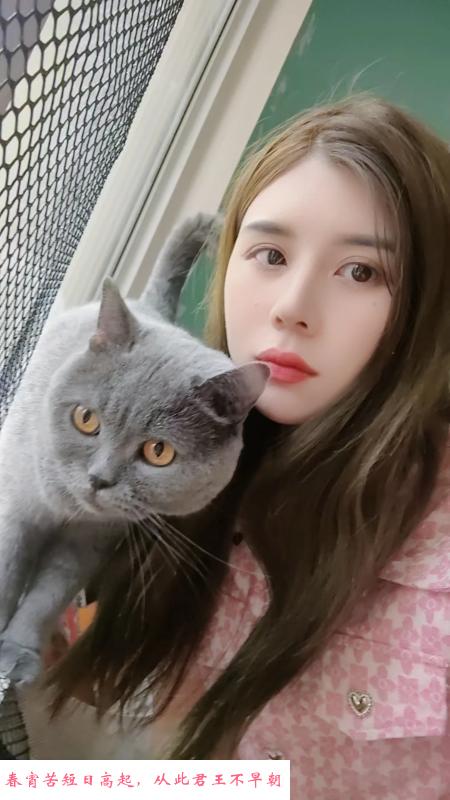 马群小少妇 第1张