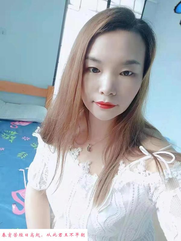 龙华大奶茶 第1张
