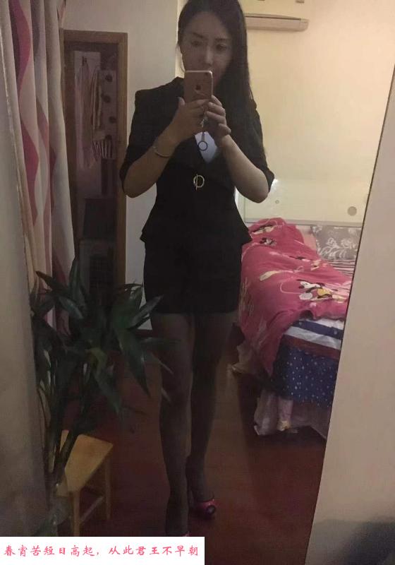 西环粉玫瑰 第2张