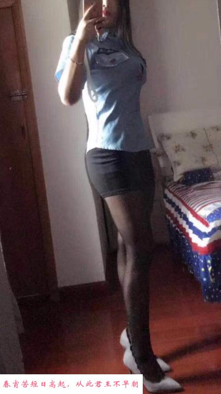 西环粉玫瑰 第3张