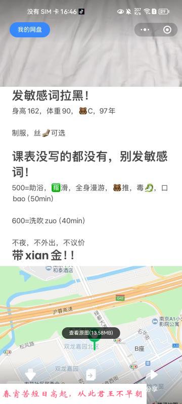 南京南站小香菜中项 第3张