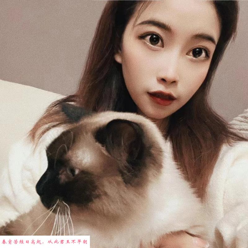 性感风骚小美女 第1张