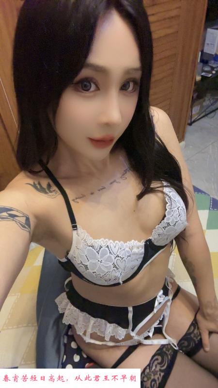 成都性感ts性价比 第2张