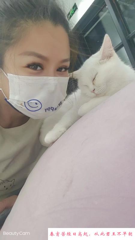 河东骚妇 第1张