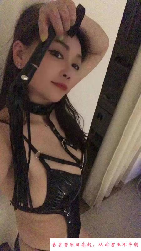 宝安身材颜值小肥猫 第1张