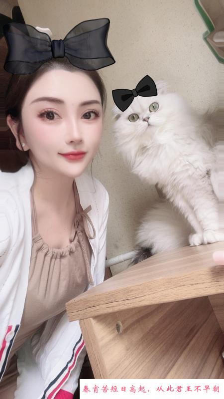 下沙大橘子 第2张