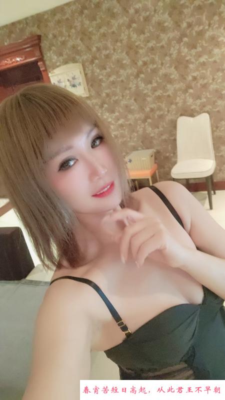 沈阳最骚 第1张
