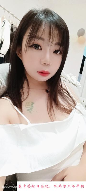 嘉禾大胸玫瑰 第1张