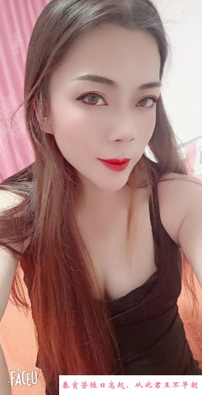 ts小姐姐在哈尔滨 第1张