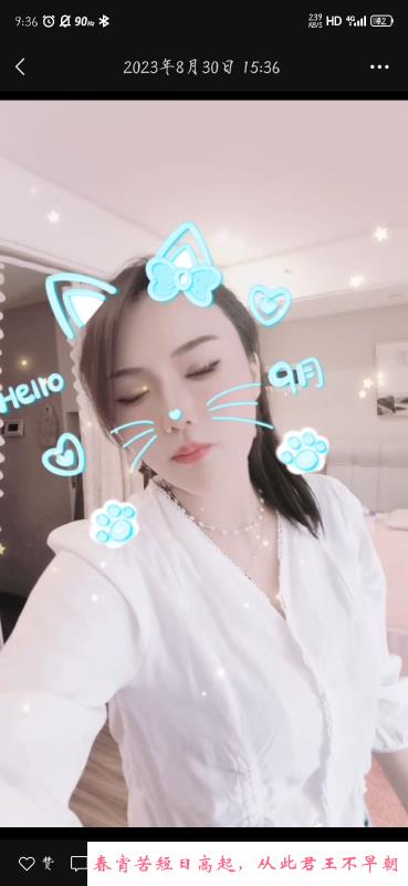 服务系小野猫 第2张