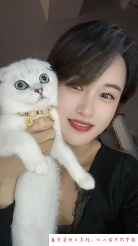 可爱甜美的美少妇 第2张