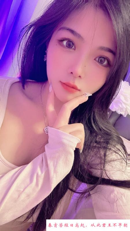 福田骚贝贝 第1张
