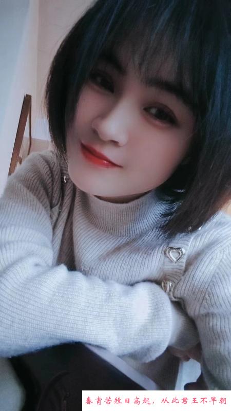 含羞草 第1张
