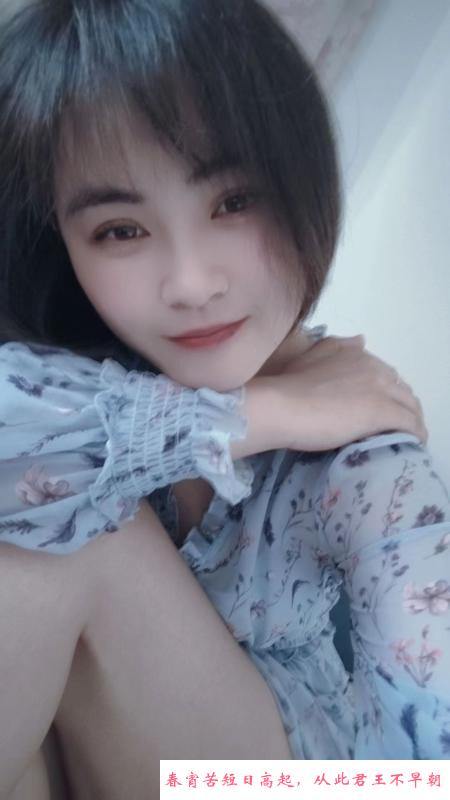 含羞草 第3张