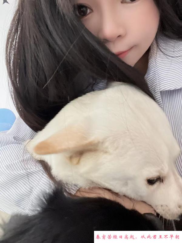 中山豆豆 第2张