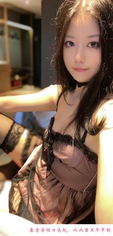 龙华初夏 第1张