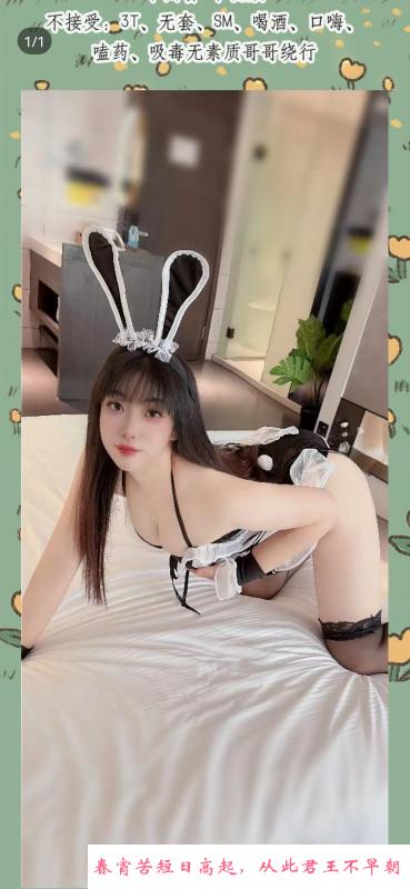 服务控浅月 第2张