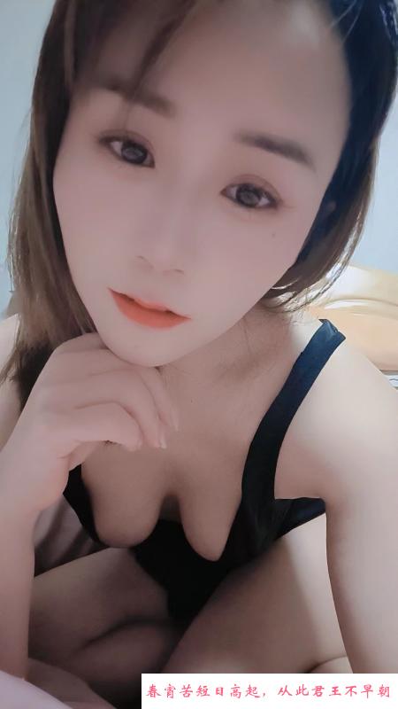 玉带园楼凤 第3张