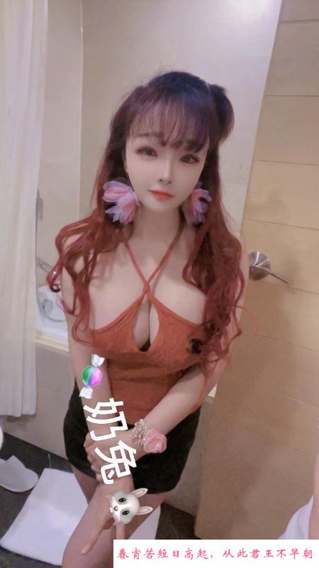宝安红牌奶兔妹 第1张