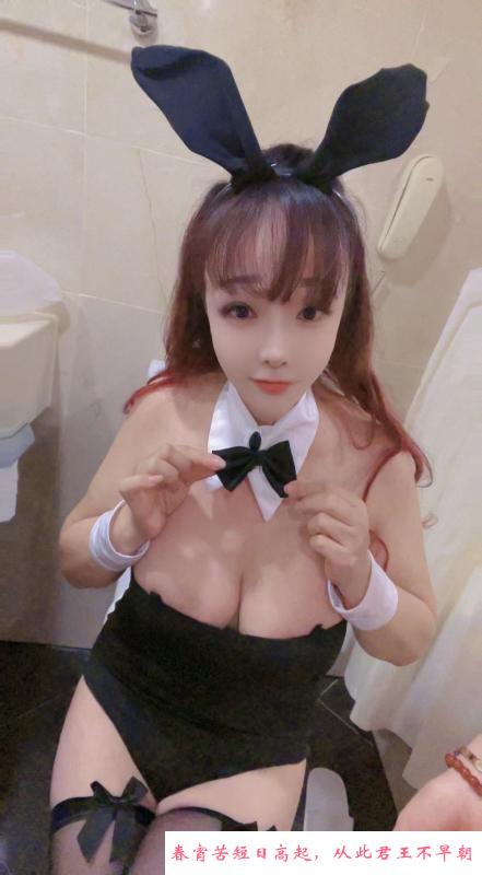 宝安红牌奶兔妹 第2张