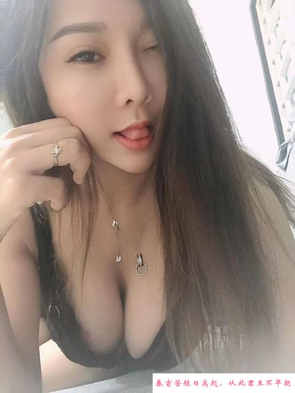 深圳南山小狐狸 第2张