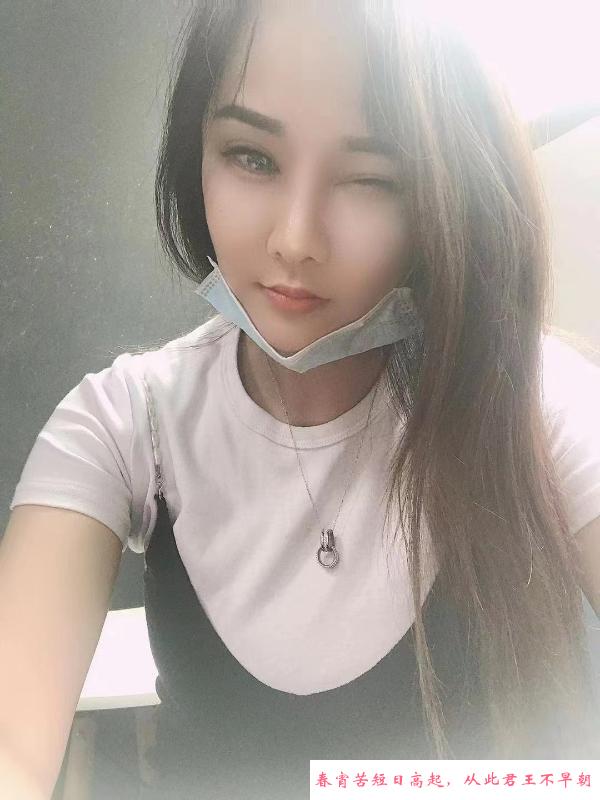 深圳南山小狐狸 第3张