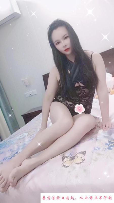 妖气小姐姐 第1张