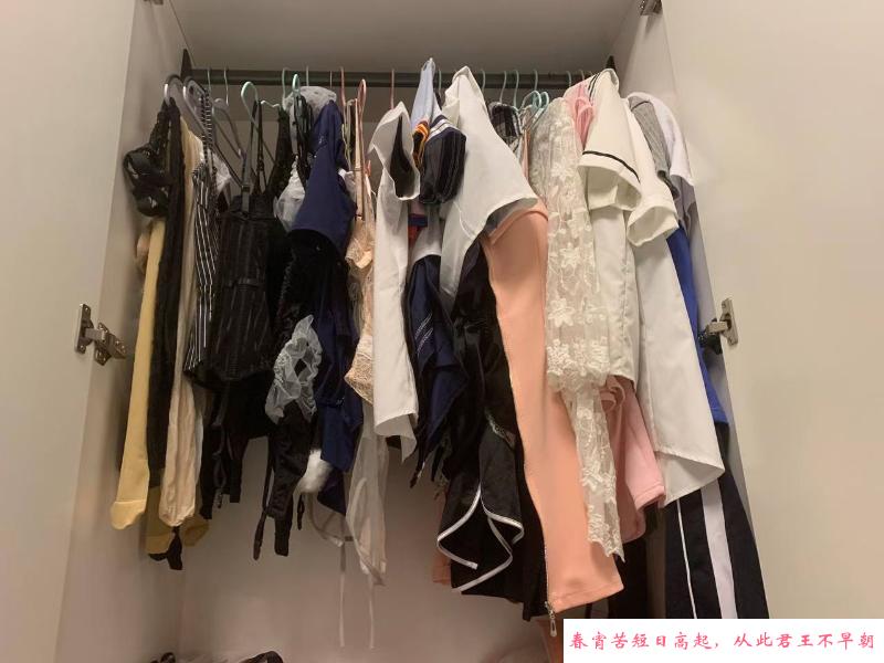 龙华小爱老师 第4张