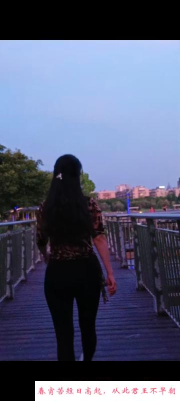 少妇中项服务系列 第1张