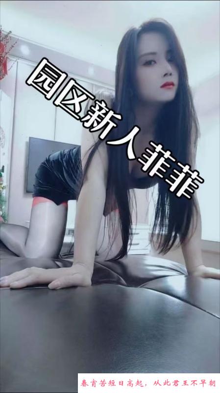 园区新宠菲菲 第2张