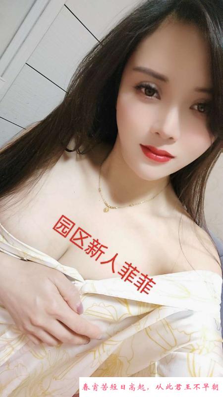 园区新宠菲菲 第3张