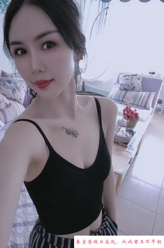 滨江莞式导师小猫咪 第3张