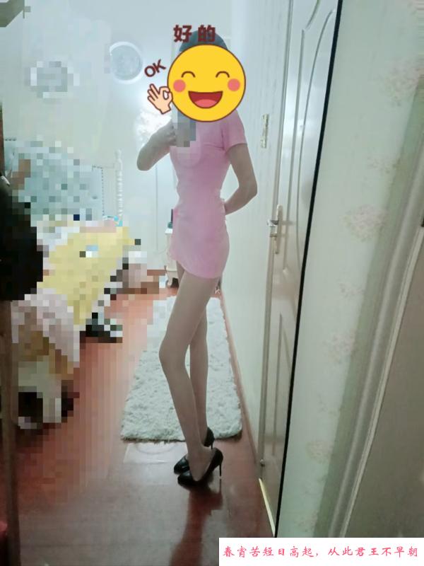 木木小项 第3张